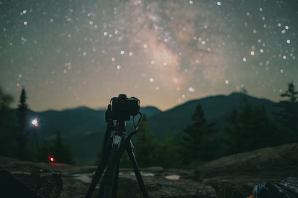 How Immich helped me organize a decade worth of photography